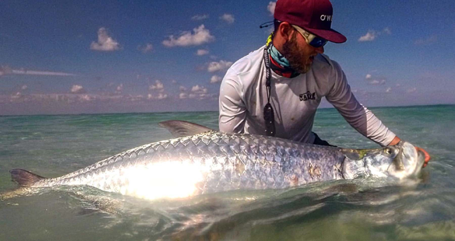 Tarpon Fishing with Native Sportfishing in St. Petersburg