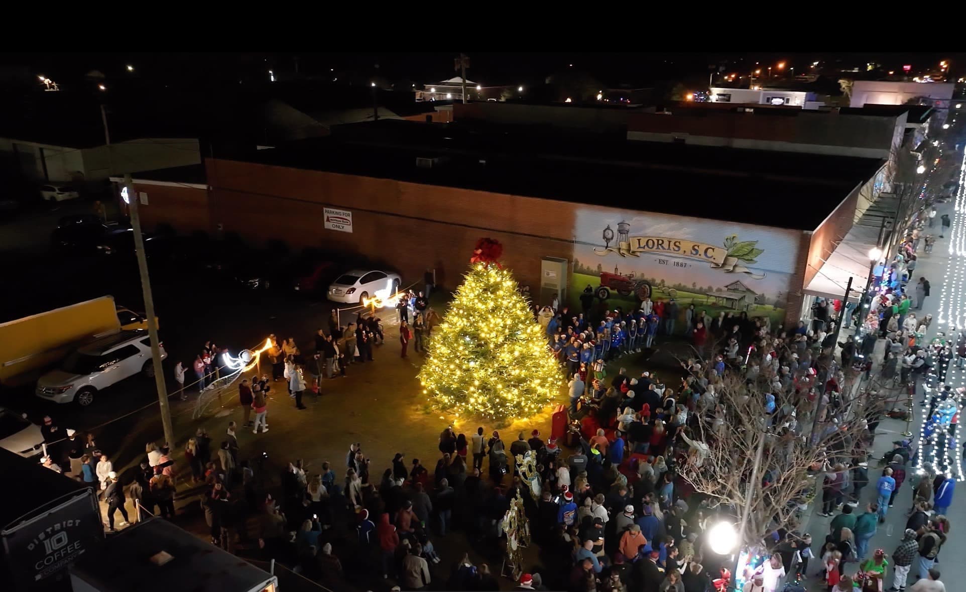 Crowd gathered around illuminated Christmas tree at night festival