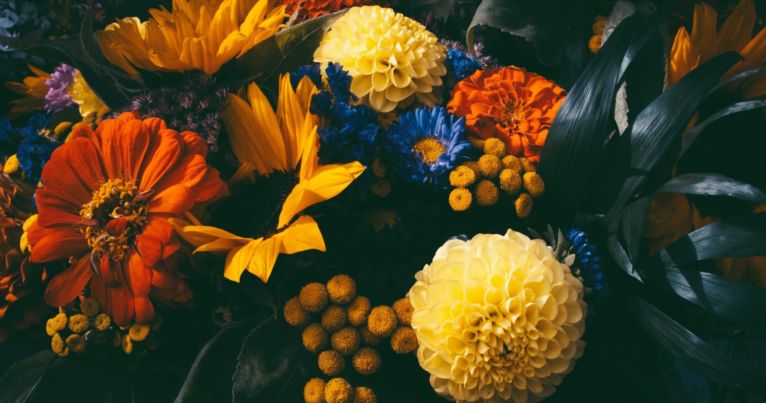 Fall Nature & Nightlife at Reiman Gardens