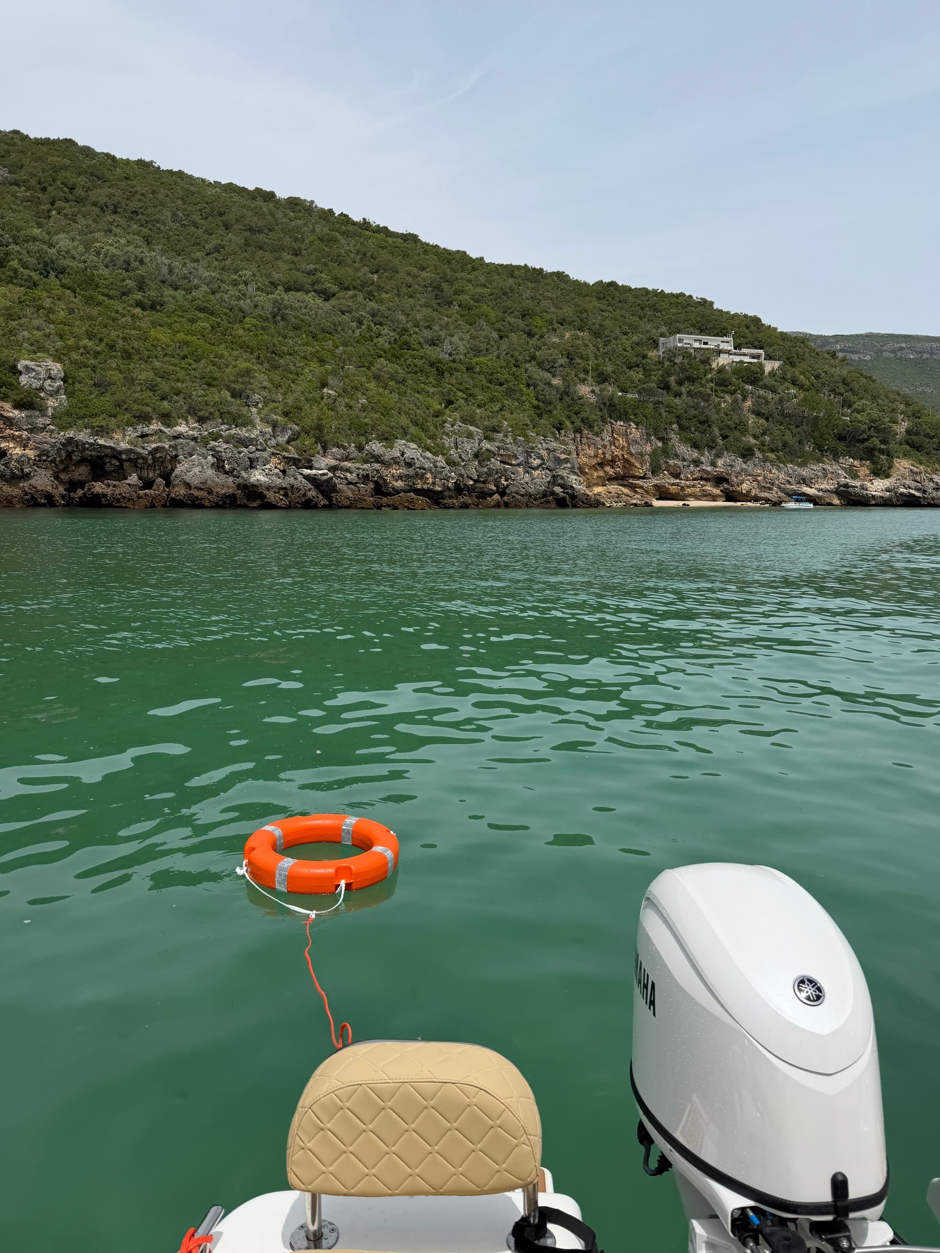 Sado Estuary Dolphin Watching from Setúbal — 2.5-Hour Wild Dolphin Cruise photo 2