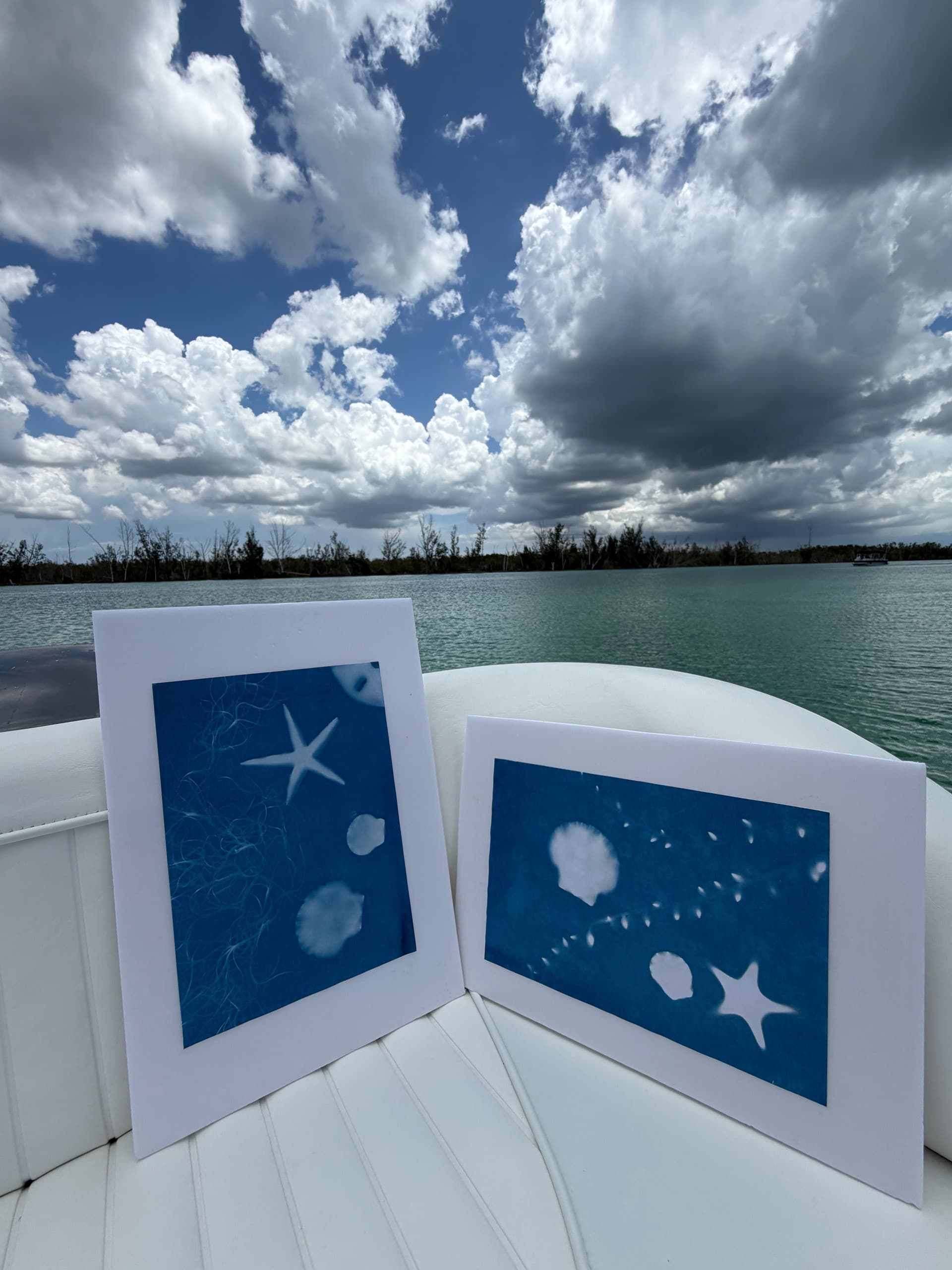 Ten Thousand Islands Shelling Cruise & Cyanotype Sun Prints from Naples