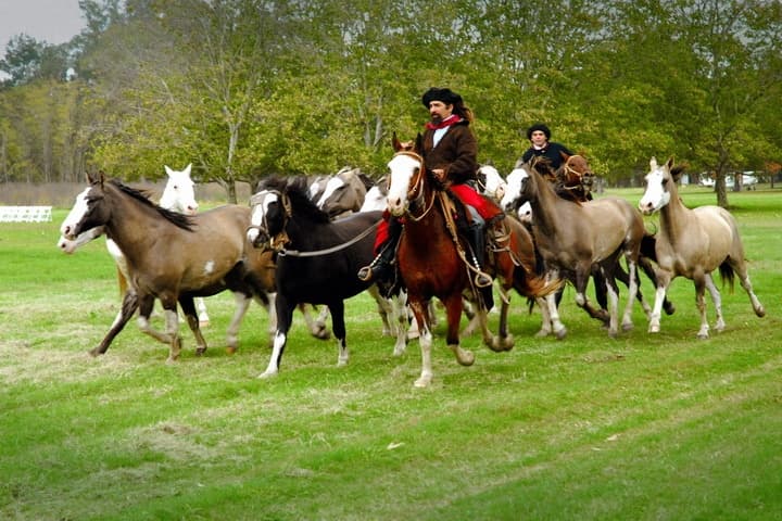 Gaucho Day Tour at La Candelaria with Buenos Aires Tours