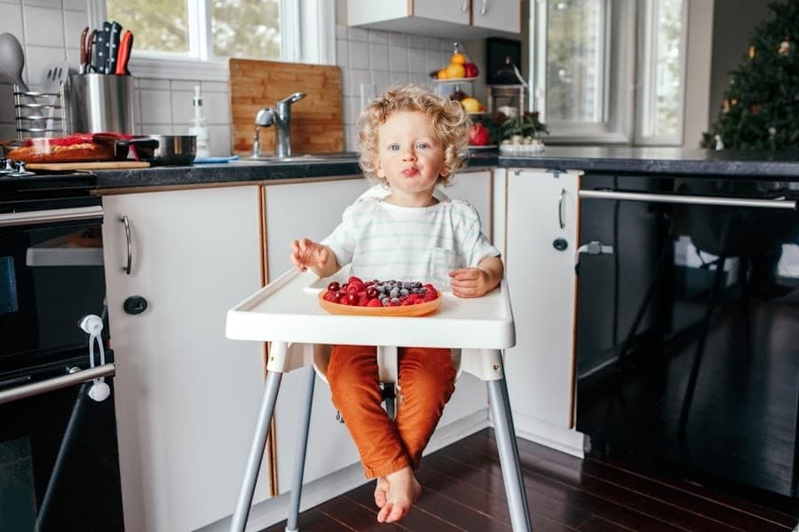Weekly Gear Rentals on Long Beach — High Chair Long Beach NJ