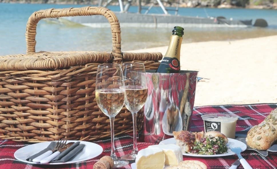 Seaplane to Shark Island: Sydney Highlights Flight and Picnic from Rose Bay photo 3