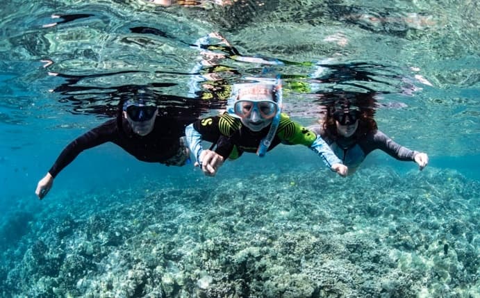 Kealakekua Bay (Capt. Cook) Adventure with Kaimana Ocean Safari