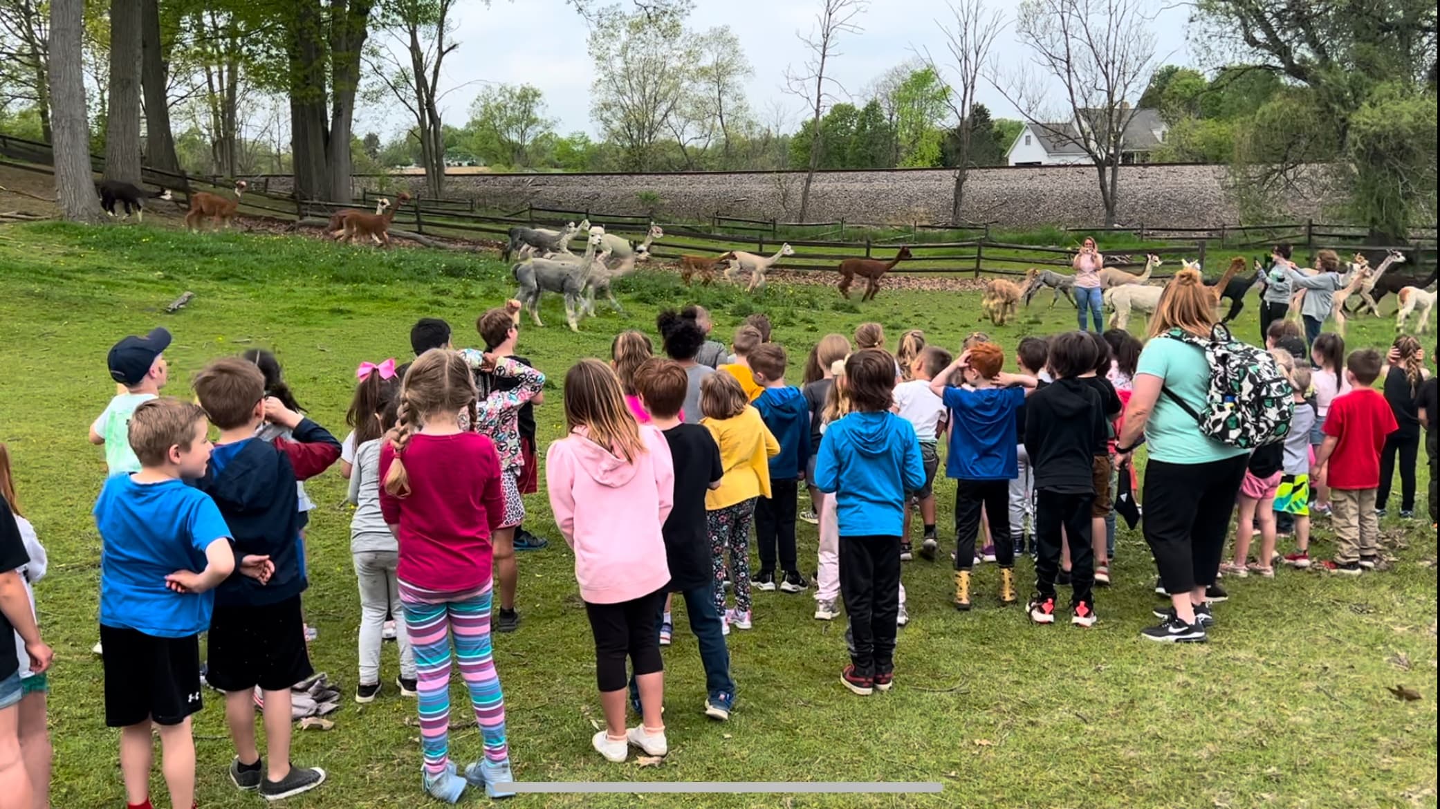 Private Farm Field Trips in Kent Ohio: Alpacas, Goats, and Hands-On Learning
