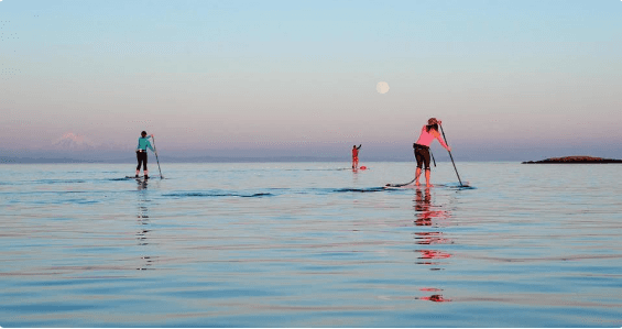 Sunset Paddle Tours with South Island SUP in Victoria