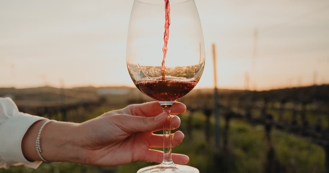Wine Tasting & Farm Experiences at Lisbon’s Torres Vedras