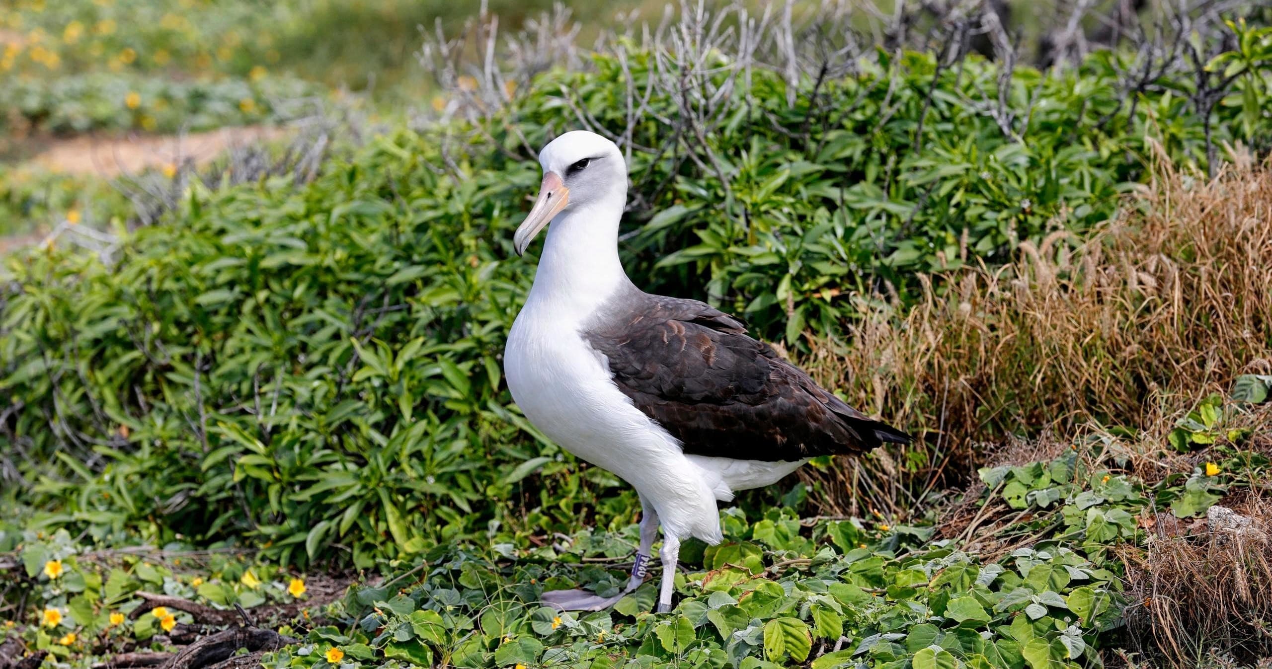 Private Photography Tour in Honolulu, Hawaii