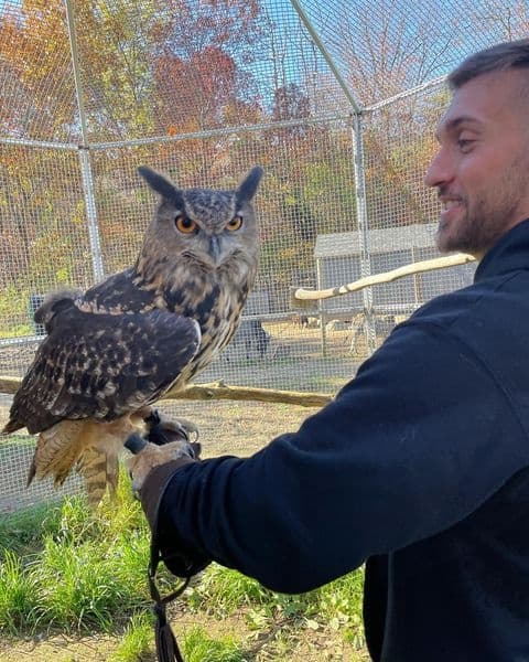Owl Connection by Animal Adventures in Bolton, MA