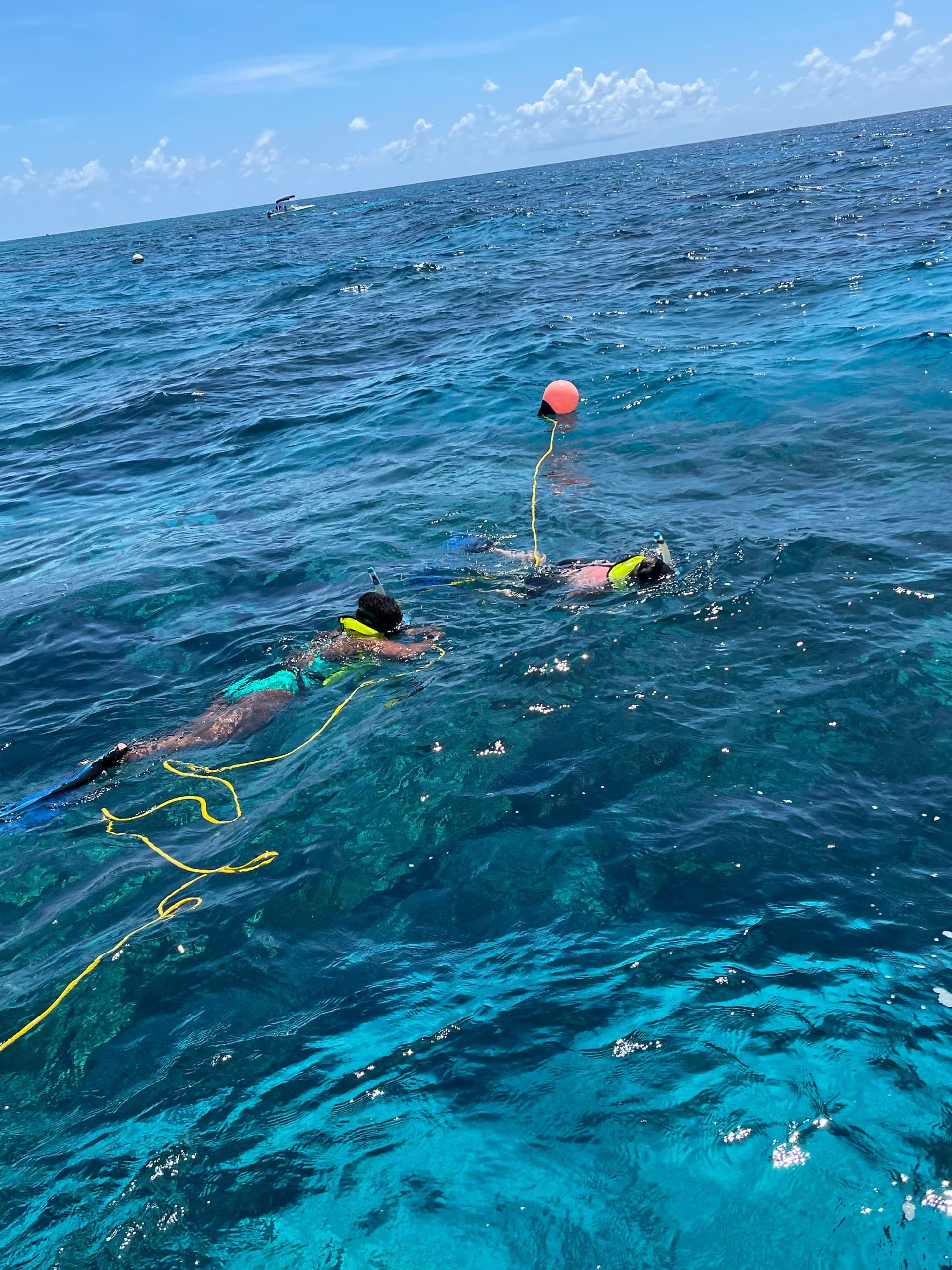 Explore Key Largo's Vibrant Coral Reefs on a Private 4-Hour Snorkel Charter