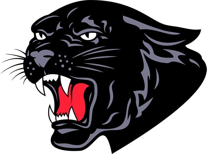 On-Campus Senior Portraits at Saucon Valley High School — Cap & Gown Sessions in Bethlehem
