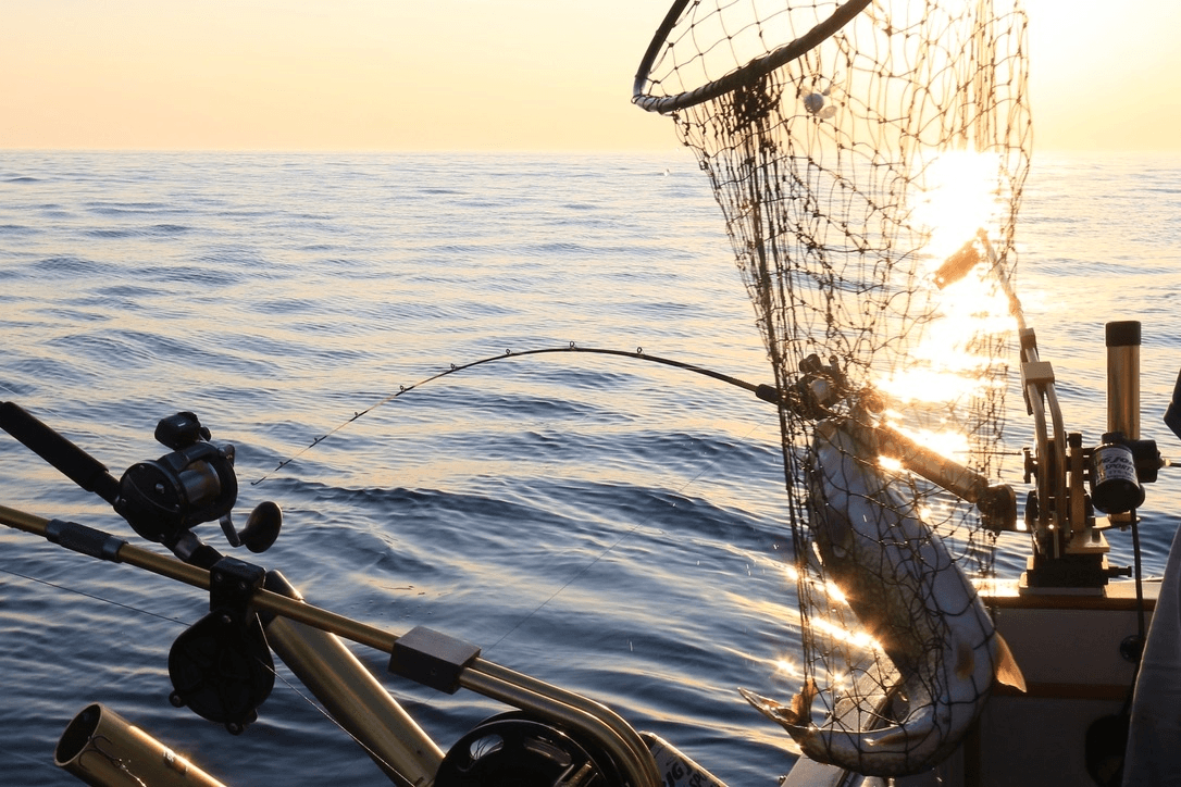 Lake Michigan Fishing Adventure in Holland, Michigan