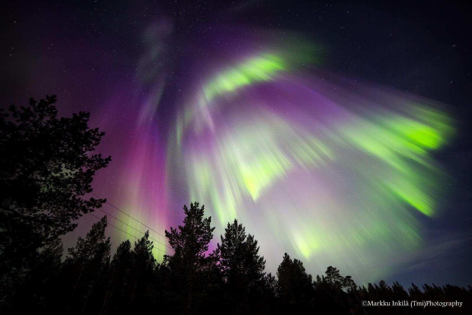 Winter Wildlife & Aurora Snowshoeing at Wilderness Hotel - Inari