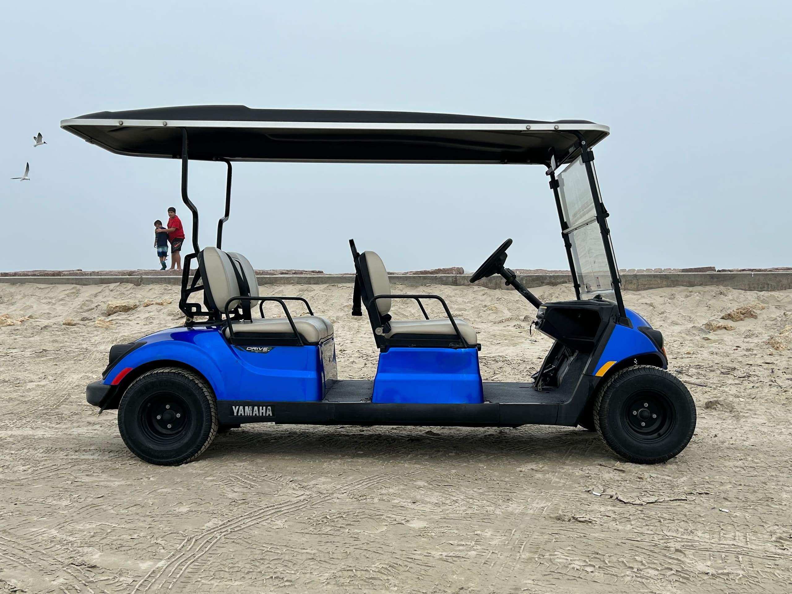 Beach Cart Rentals at Port 'A' by Peyton's Beach Carts
