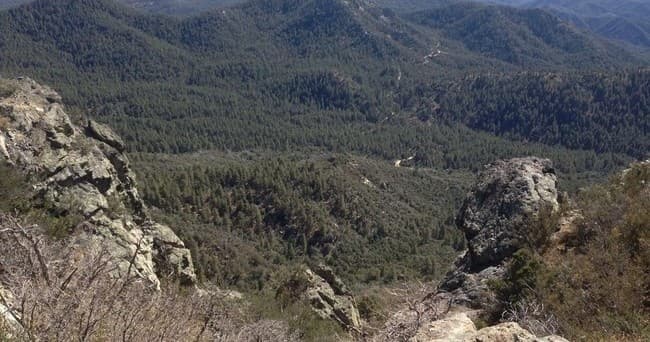 Aerial ridge view of forested mountains, panoramic trail vista
