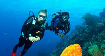 PADI Open Water Diver