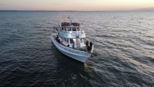 Fishing charter boat cruising open ocean at sunset, offshore trip