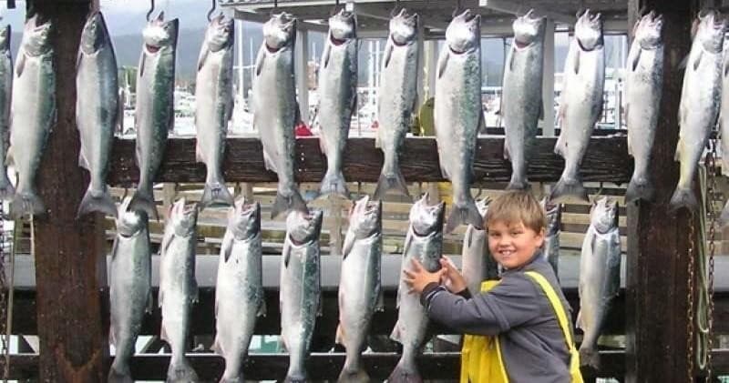 Half-Day Salmon Charter by The Fish House in Seward, Alaska