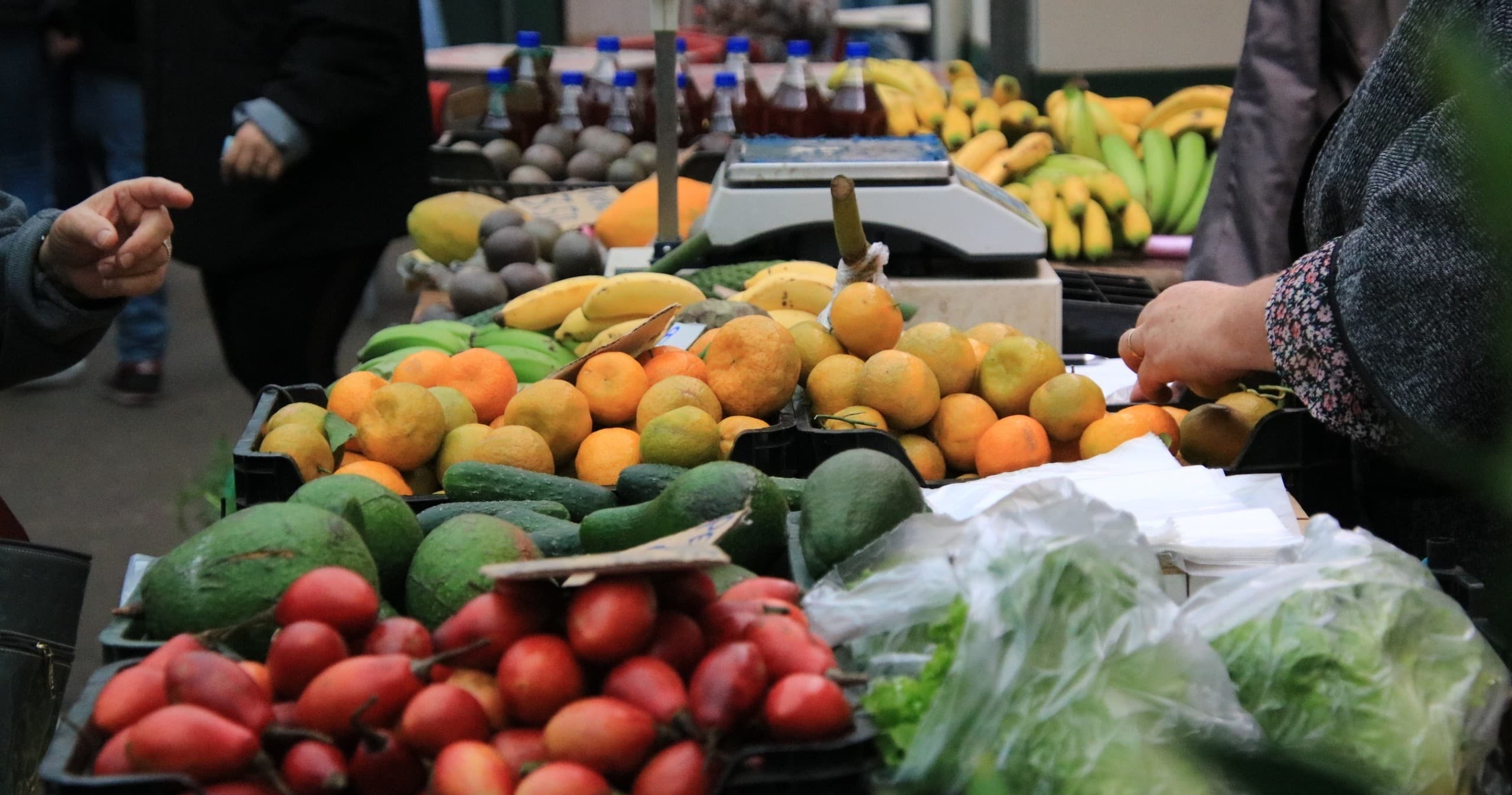 Southeast Country Delights in Funchal by Experiences Madeira