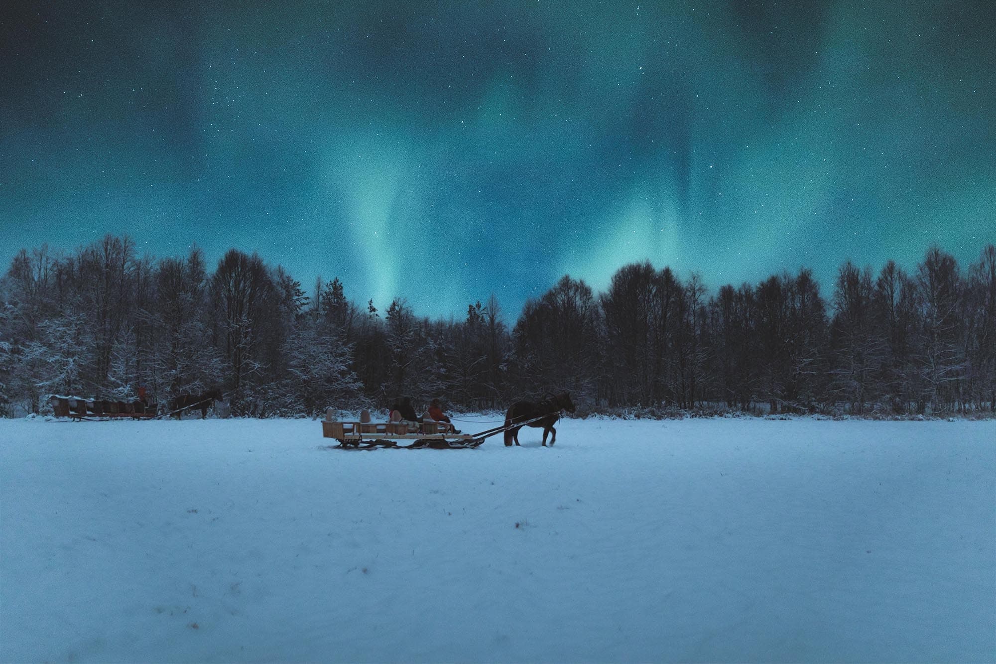 Horse Sleigh Ride under the Night Sky at Apukka Resort, Rovaniemi