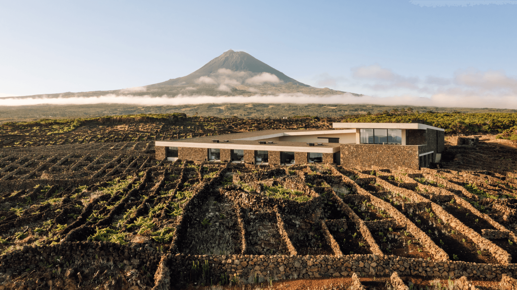 Fun Dining at Azores Wine Company on Pico Island