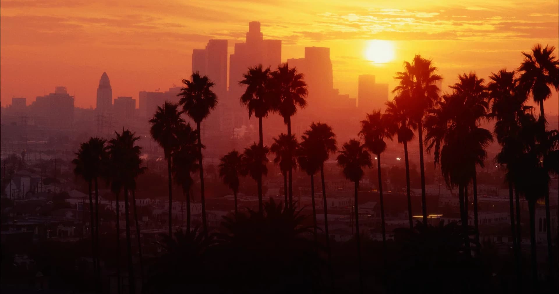 Sunset over Los Angeles skyline with palm trees, urban vista