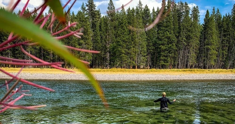 Fly Fishing in Yellowstone with Teton Wilderness Tours