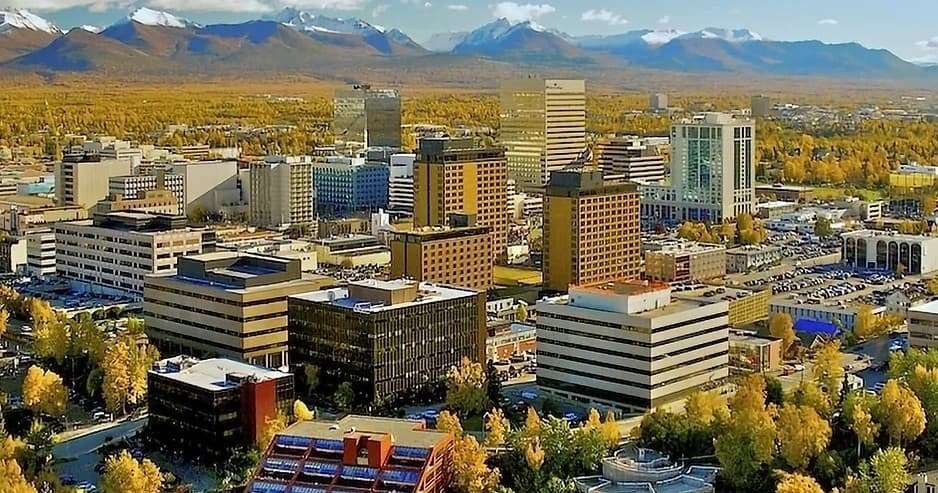 Urban Wildlife & Scenic Views with Blueberry Tours in Anchorage