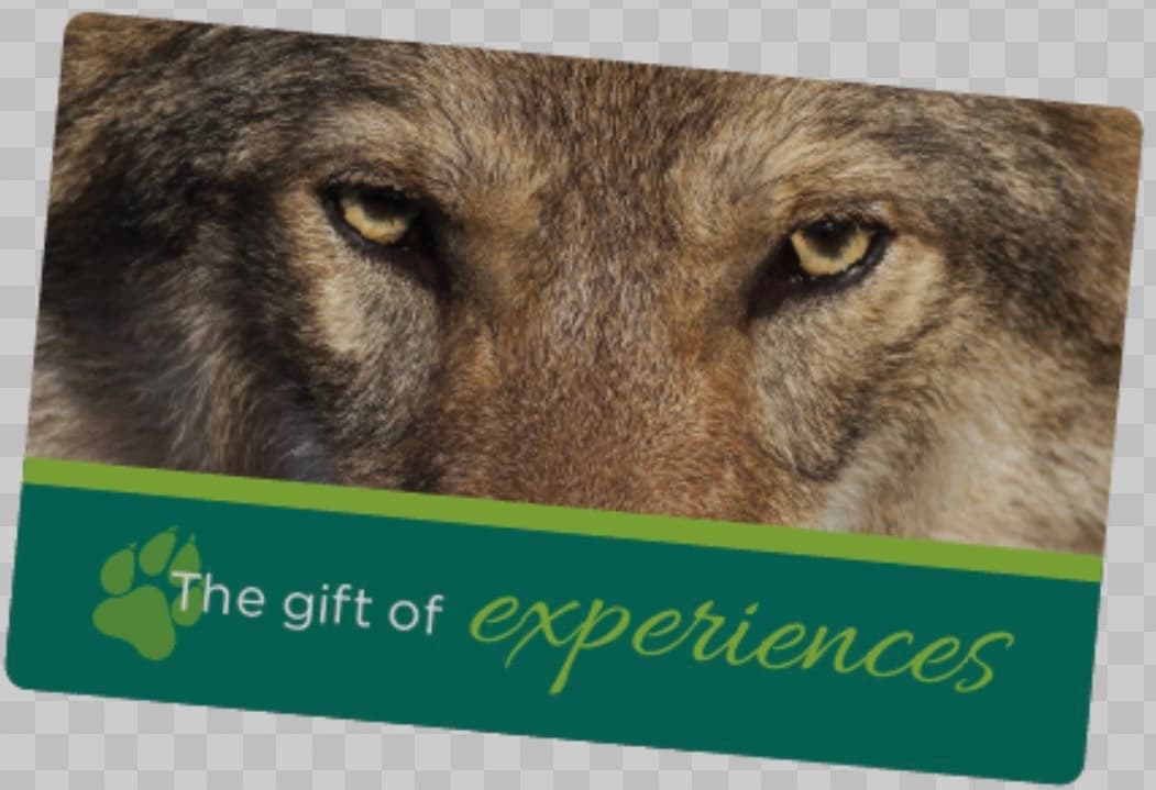 Gift Certificates Supported by Roam Wolfdog Sanctuary