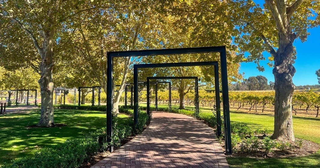 Discover Swan Valley: Wine, Wildlife & Wonders in Western Australia