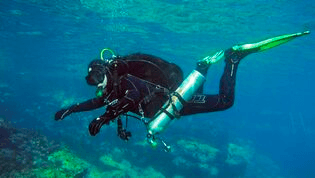 Punkfish Diving Buoyancy Course in Fuencaliente de La Palma