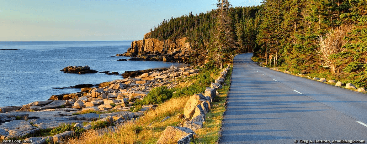 3 Hour Highlights of Acadia with Cadillac Summit Tour