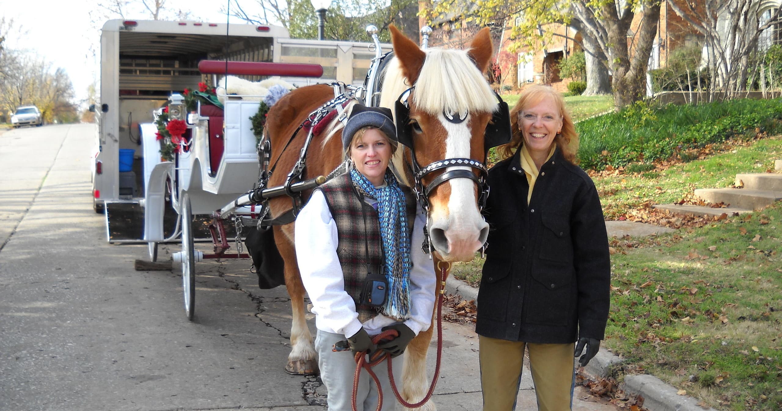Horse-drawn carriage and handlers on a suburban tree-lined street