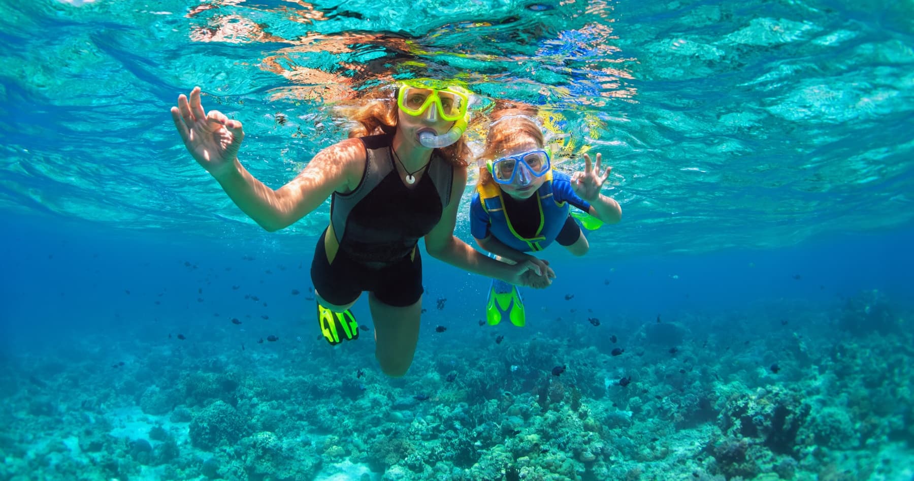 Snorkel Playa del Carmen: Family-Friendly Reef Trips to See Turtles and Rays photo 3