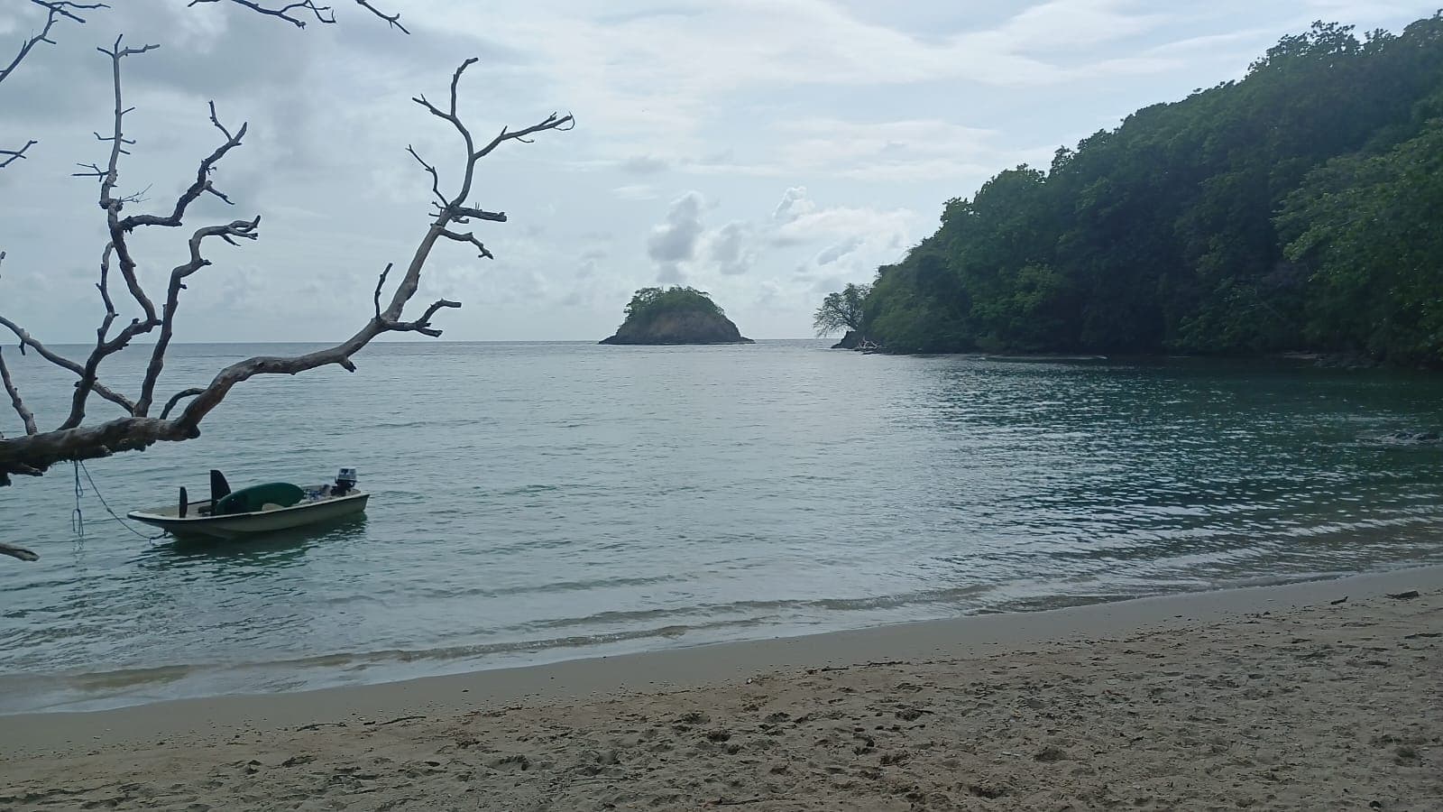 Spearfishing Adventure at Hospital Point, Bocas del Toro