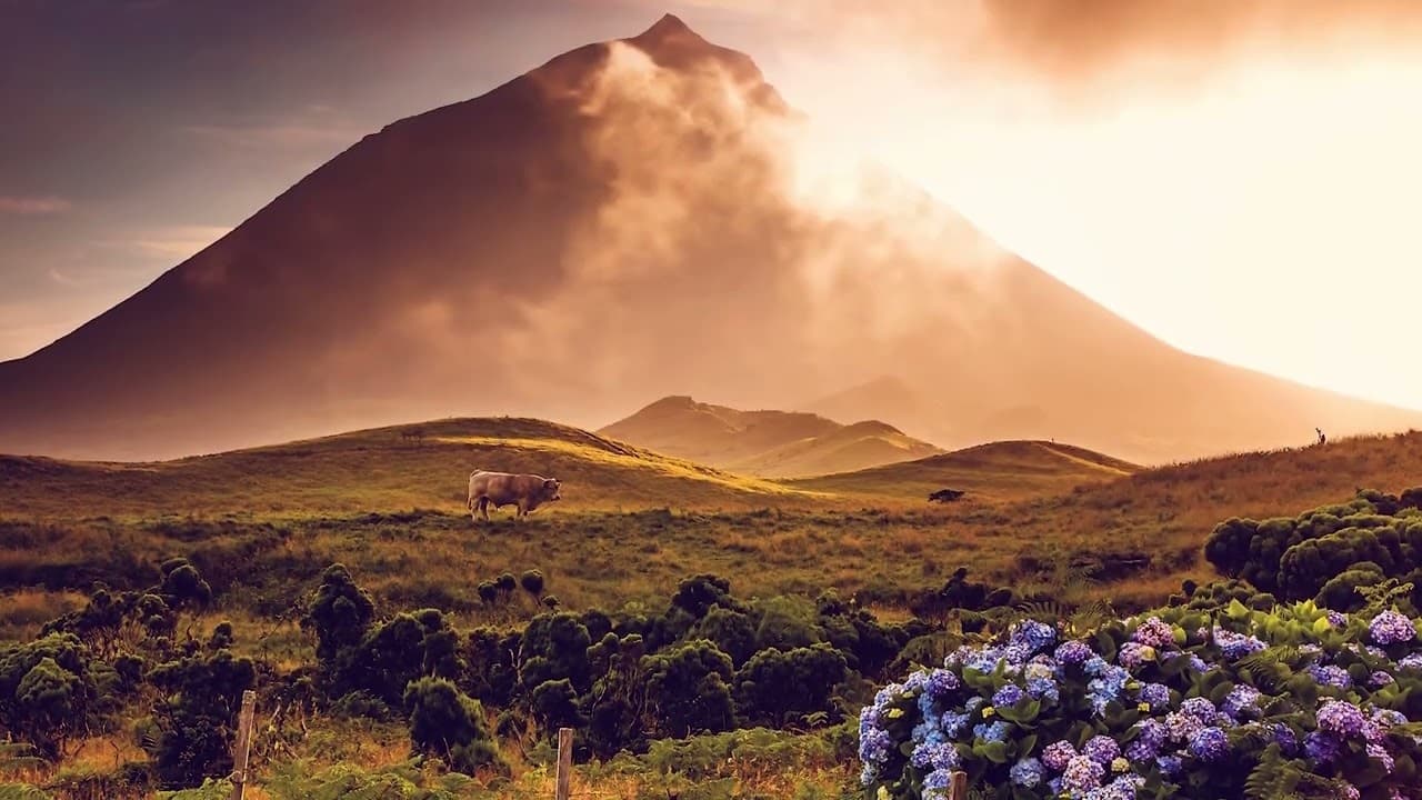 Scenic volcanic mountain vista with wildflowers at sunset