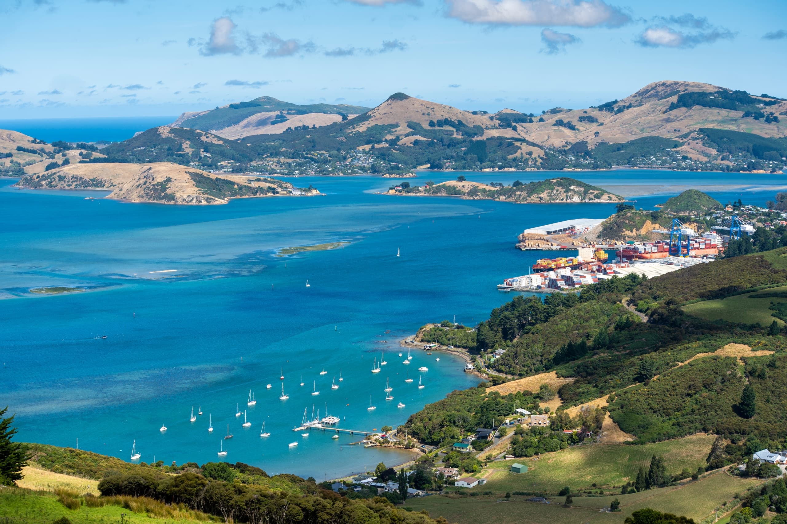 Seasider Return Film Train: Scenic Coastal Rail From Dunedin to Merton photo 4