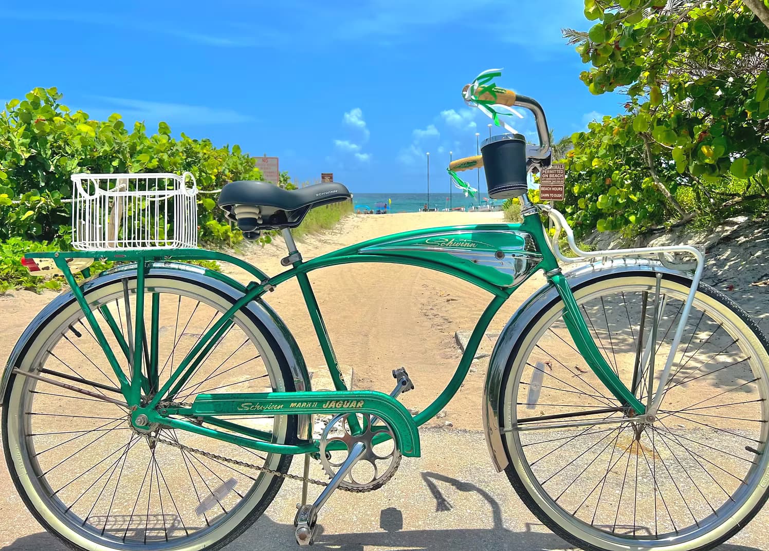 Vintage Schwinn Mark II Jaguar Rides with Seaside Bicycle Rentals