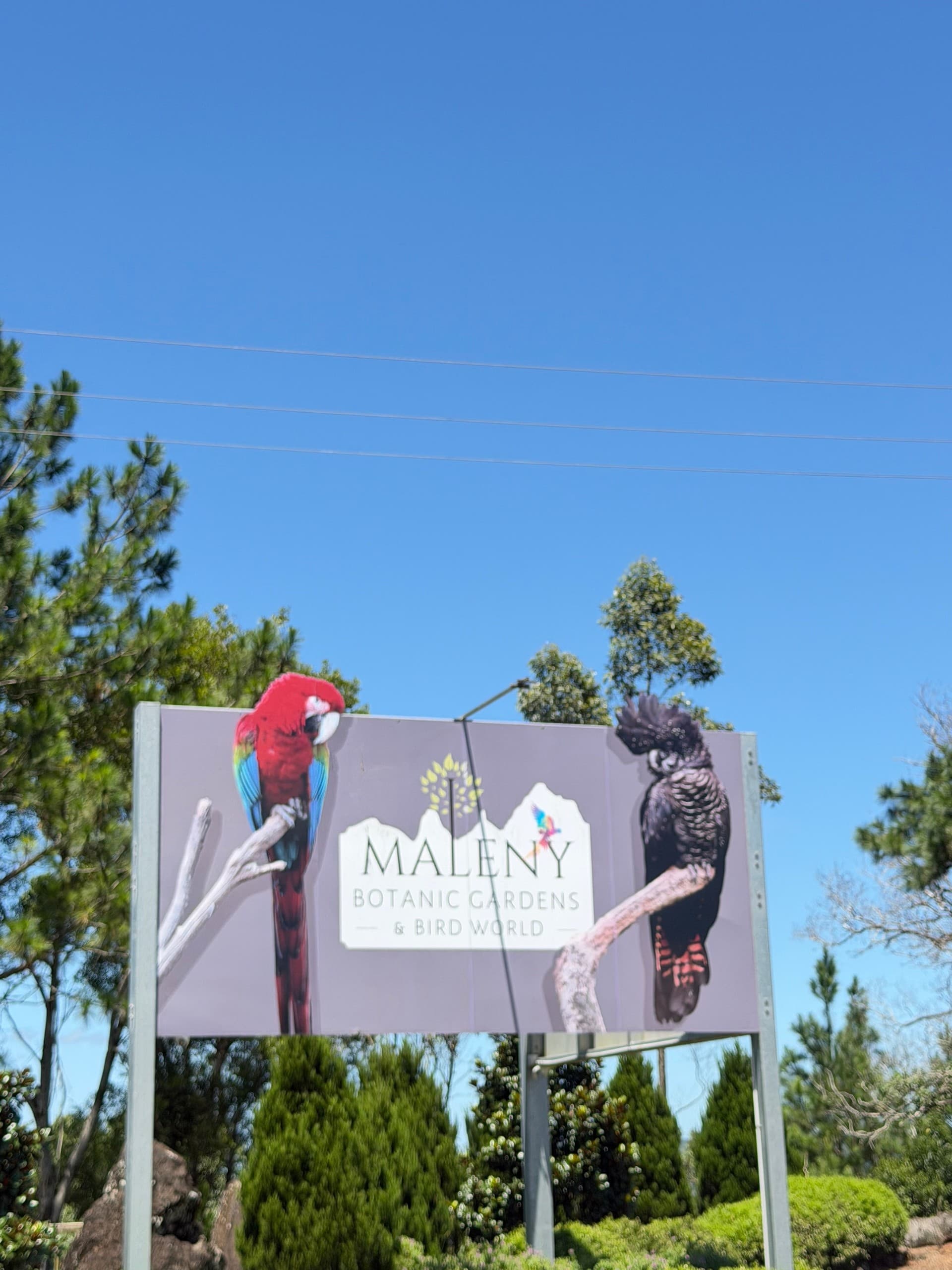 Sunshine Coast Day Trip Glass House Mountains Maleny Botanic Gardens & Bird World