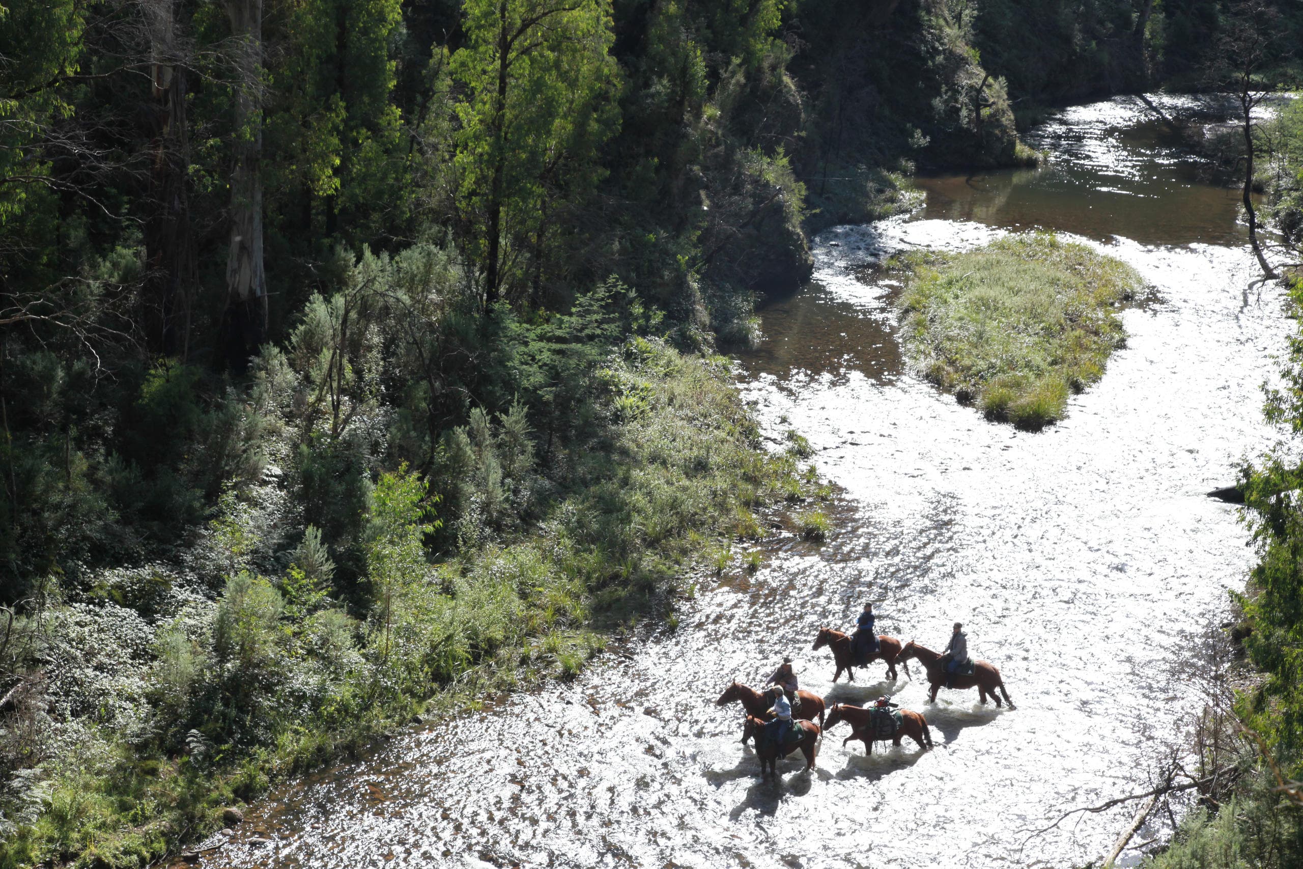 Explore Mount Stirling and Craigs Hut: Epic 3-Day Horseback Adventure in Victoria