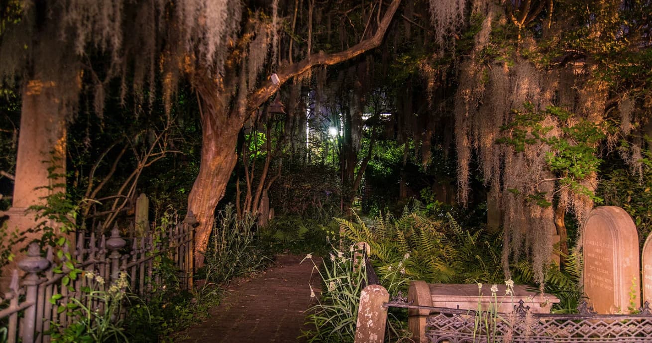 Moonlit Charleston cemetery path with Spanish moss, night tour