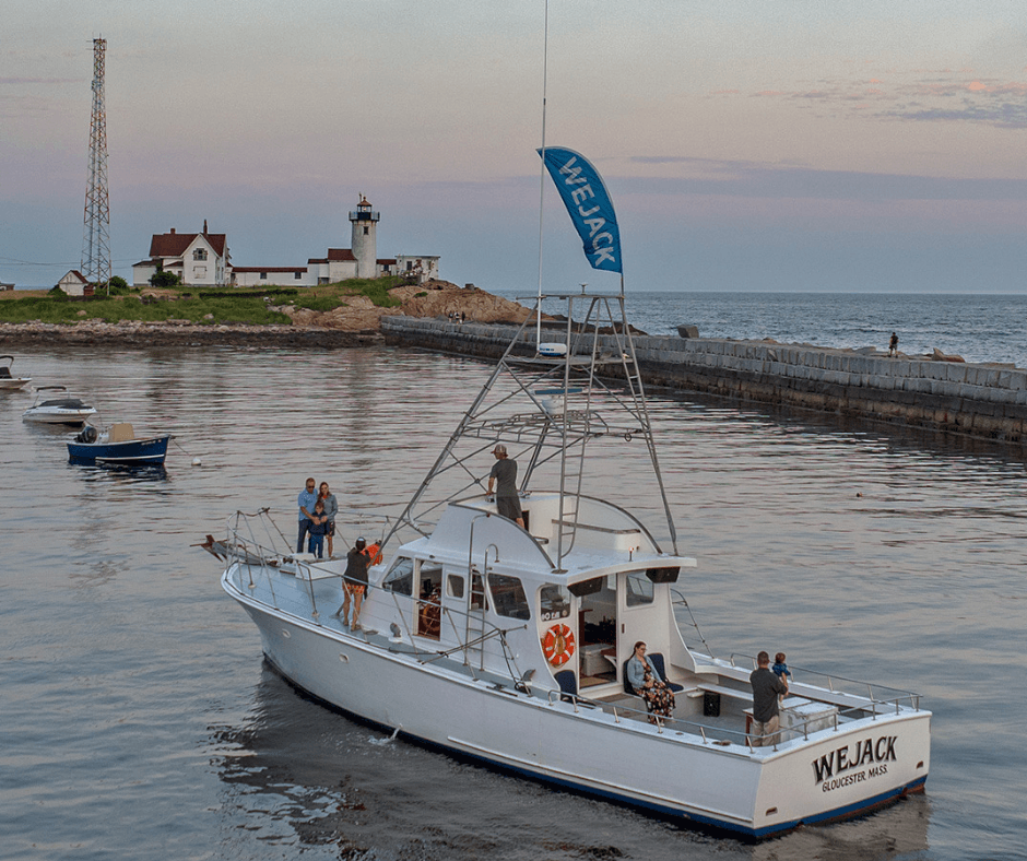 Docked cruise boat near Cape Ann lighthouse, calm harbor scene