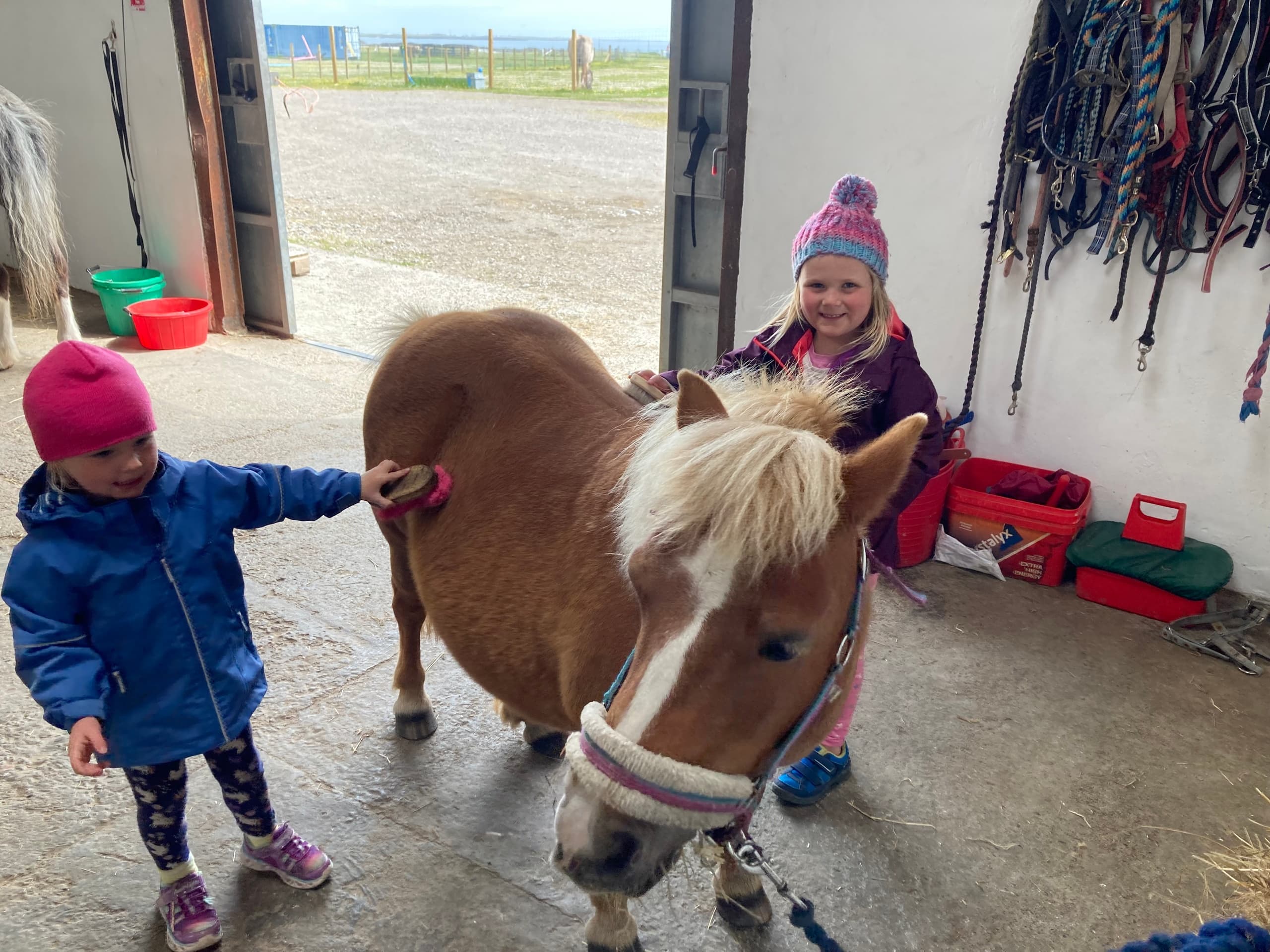Equestrian Adventure at Tiree Equestrian