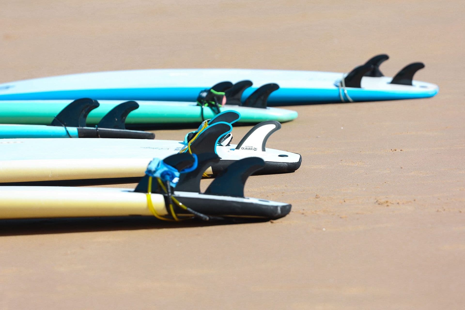 Water Activities at Tiki Surf Academy: Catch Waves in Paradise