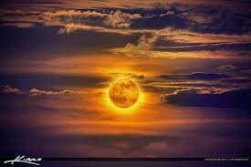 Water Activities: Sunset & Full Moon Cruise at Cape Water Tours