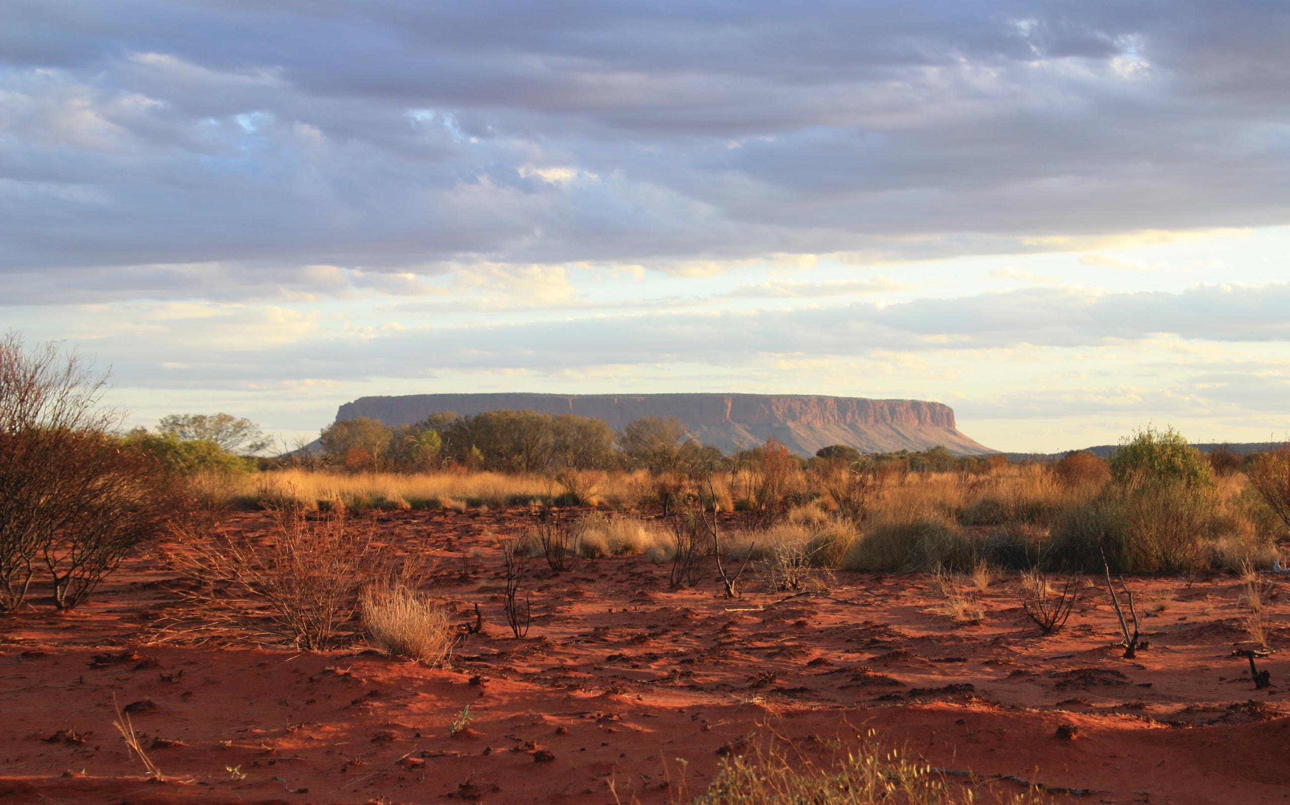 Aerial Adventure: Tour of the Giants at Ayers Rock Helicopters