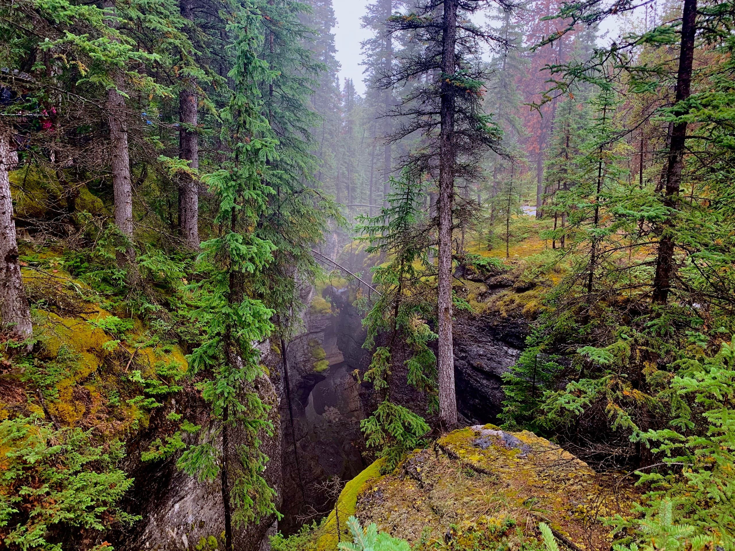 Private 3-Day Canadian Rockies Tour: Banff, Yoho & Icefields Parkway photo 2