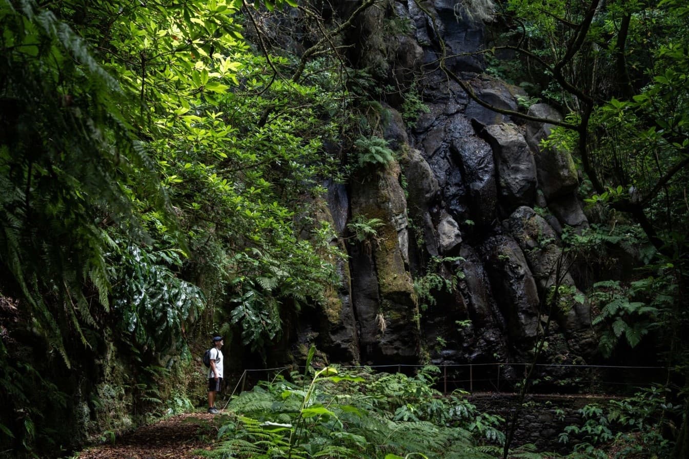 Land Adventure in Madeira: Caldeirão Verde Hike with Madeira Tours