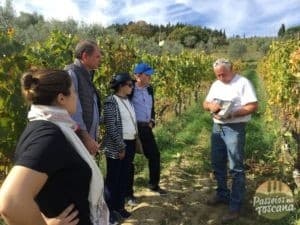 Complete Chianti Day Tour — Private Full-Day Through Chianti Classico Vineyards